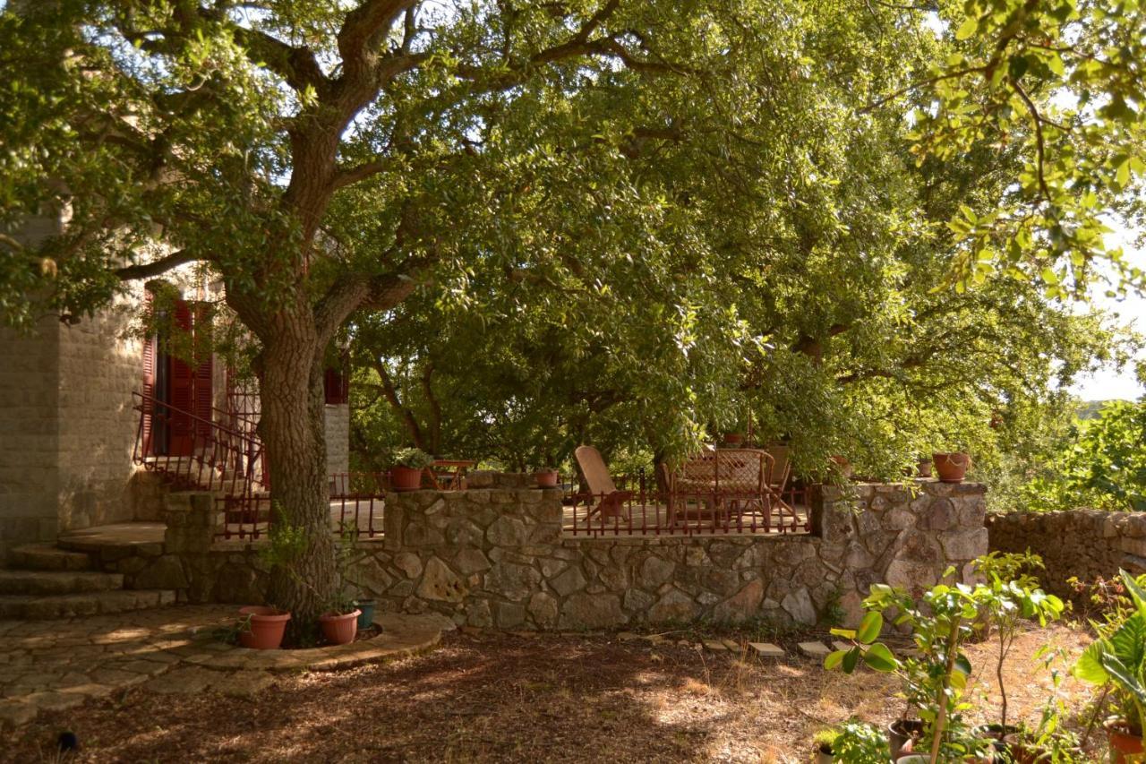 Par Tòt Guest House Locorotondo Bagian luar foto