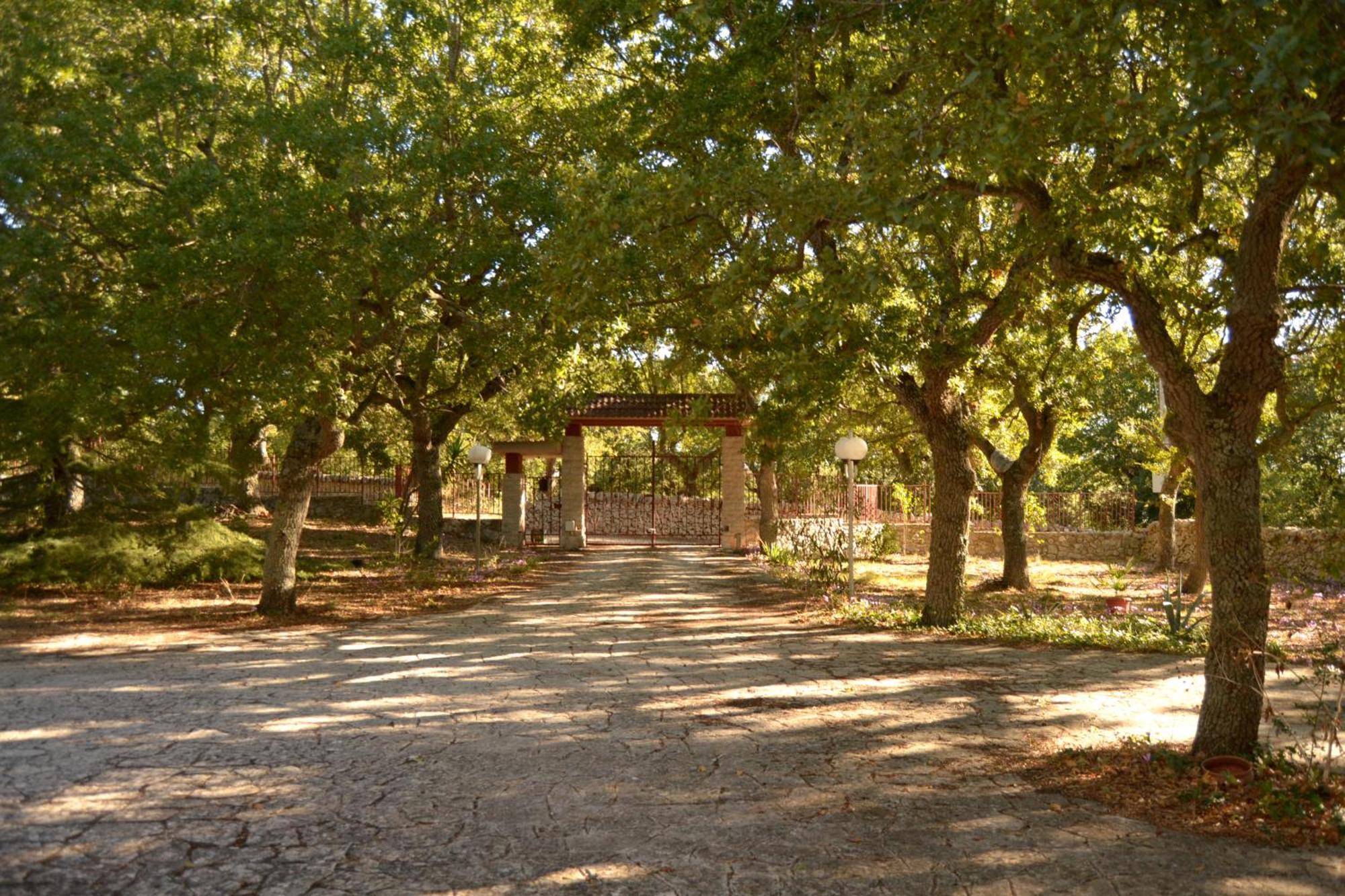 Par Tòt Guest House Locorotondo Bagian luar foto