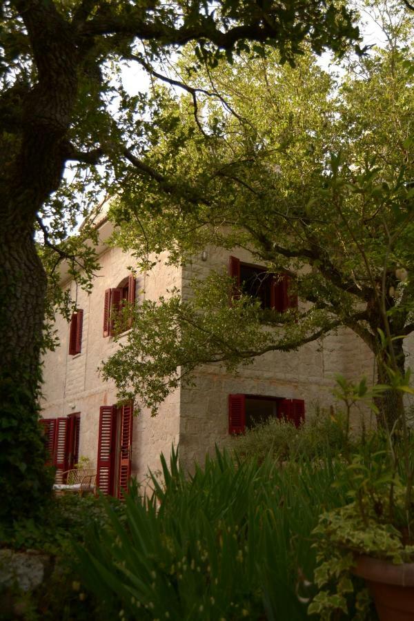 Par Tòt Guest House Locorotondo Bagian luar foto